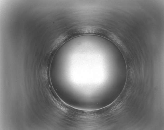 X0000054440537200508051901