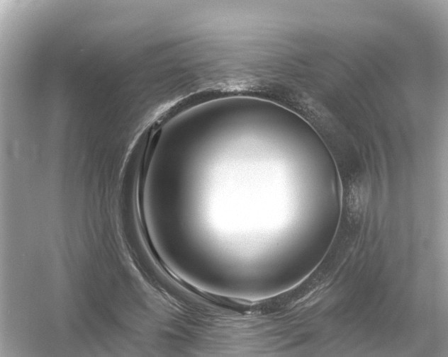 X0000054440540200508051901