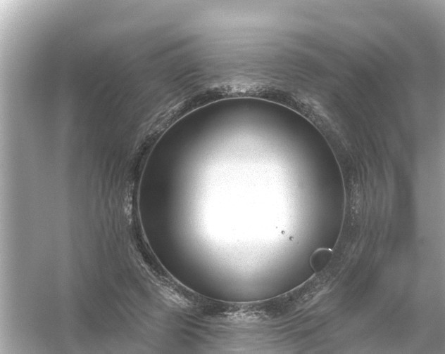 X0000054440545200508051901