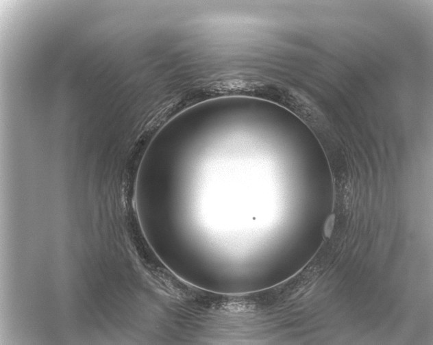 X0000054440546200508051901