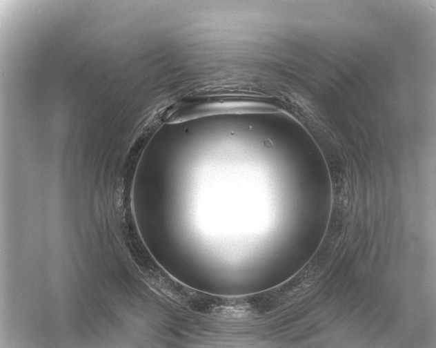 X0000054440548200508051901