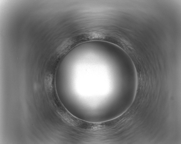 X0000054440550200508051901