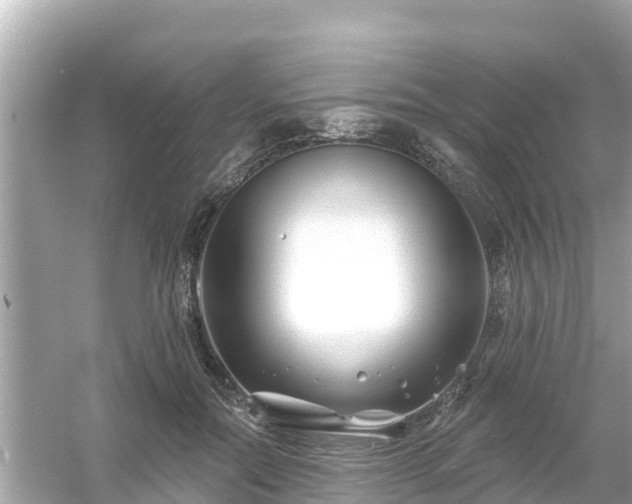 X0000054440554200508051901