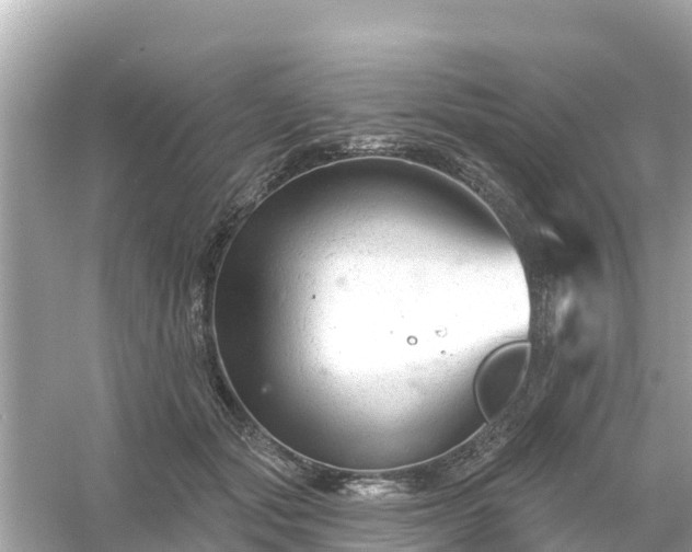 X0000054440557200508051901