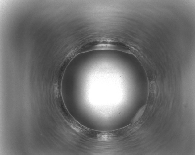 X0000054440564200508051902