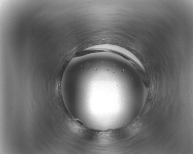 X0000054440574200508051902