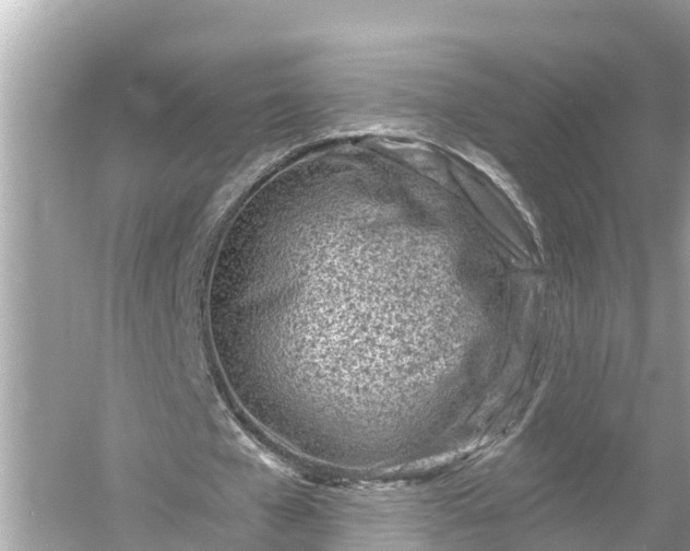 X0000054440577200508051901