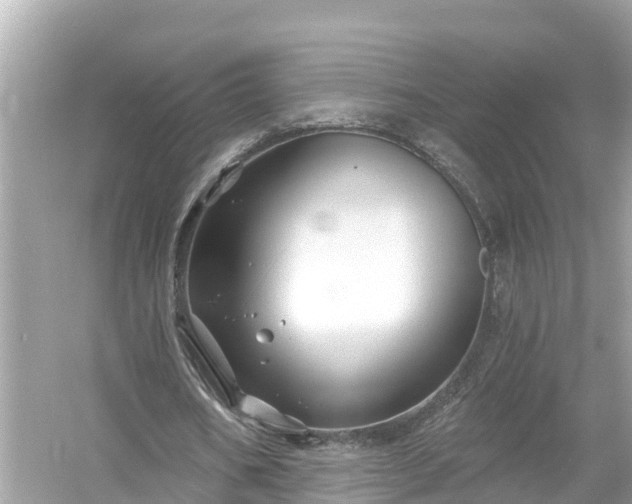 X0000054440578200508051901