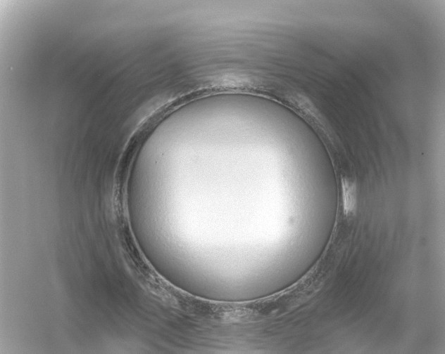 X0000054440579200508051901