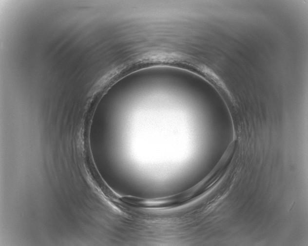 X0000054440581200508051901