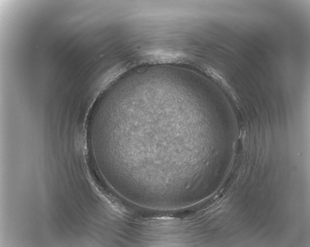 X0000054440582200508051901