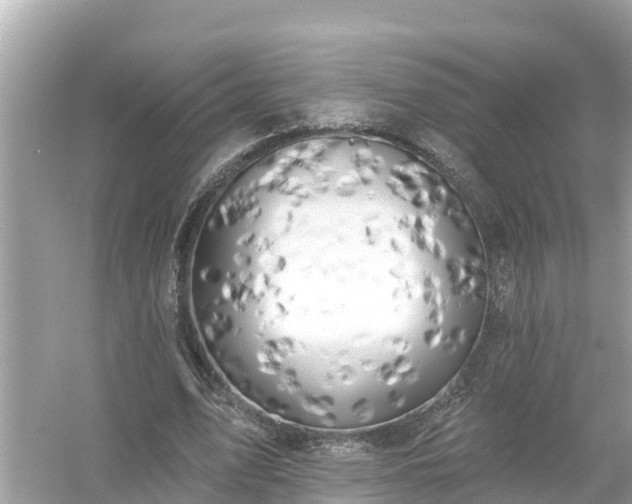 X0000054440583200508051901