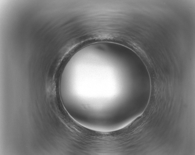 X0000054440584200508051901