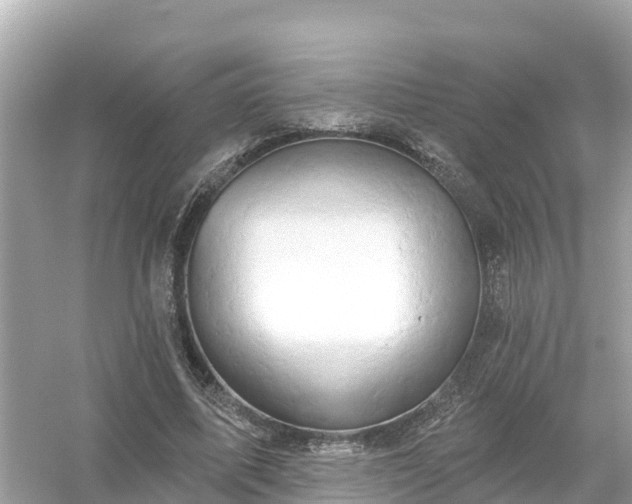 X0000054440587200508051901