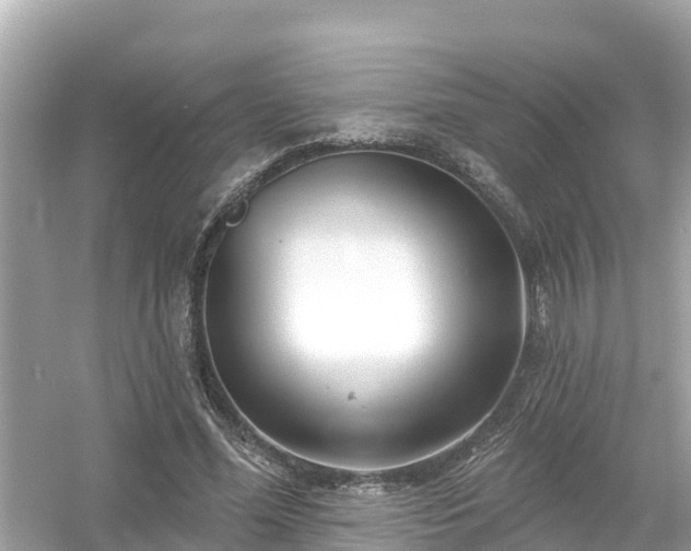 X0000054440588200508051901