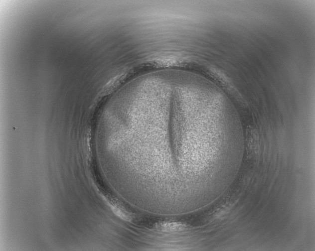 X0000054440590200508051901