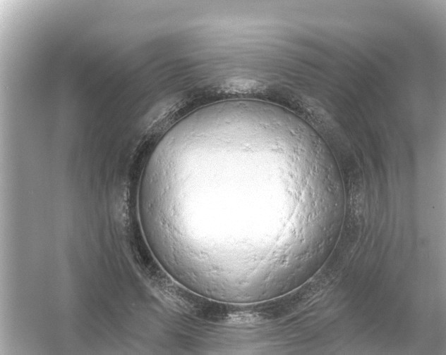 X0000054440591200508051901