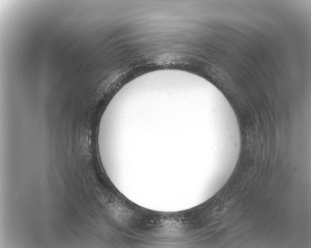 X0000054440592200508051901