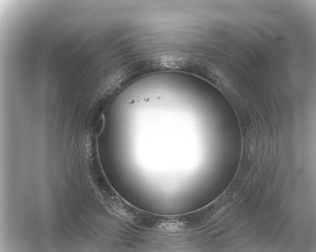 X0000054440595200508051901