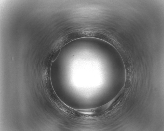 X0000054440597200508051901