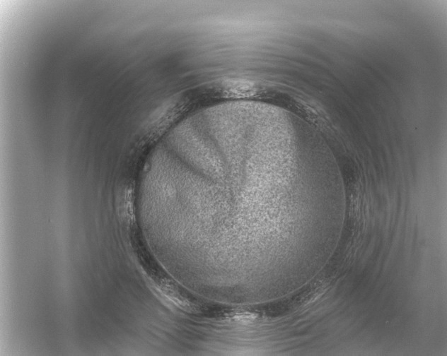 X0000054440598200508051901