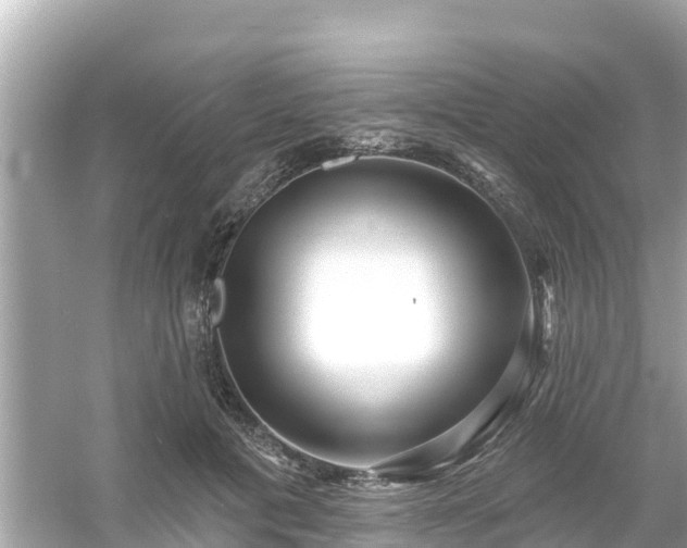 X0000054440601200508051901