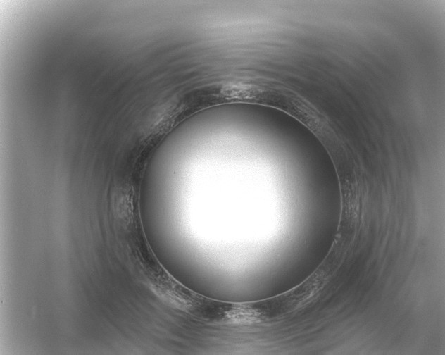 X0000054440603200508051901