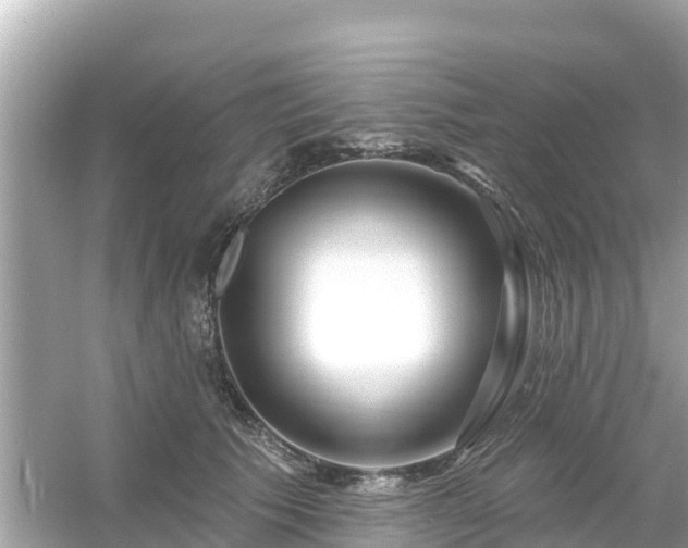 X0000054440609200508051900