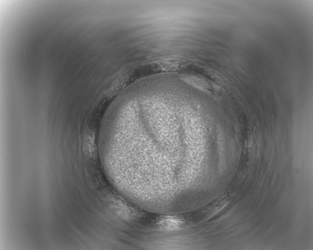 X0000054440610200508051900