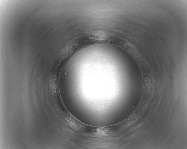 X0000054440612200508051900