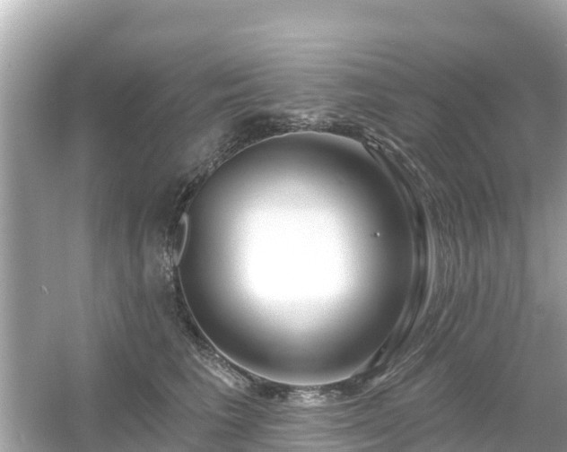 X0000054440613200508051900