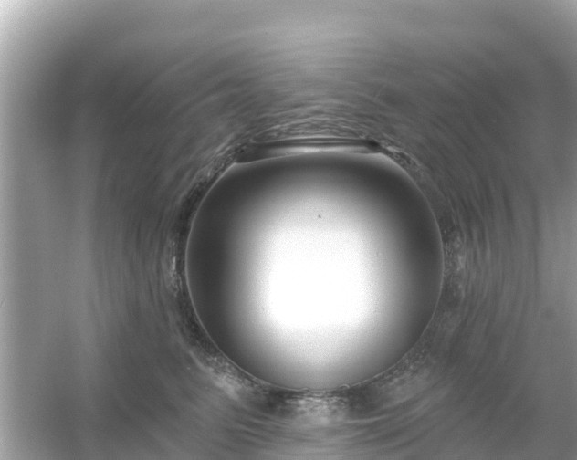 X0000054440615200508051900