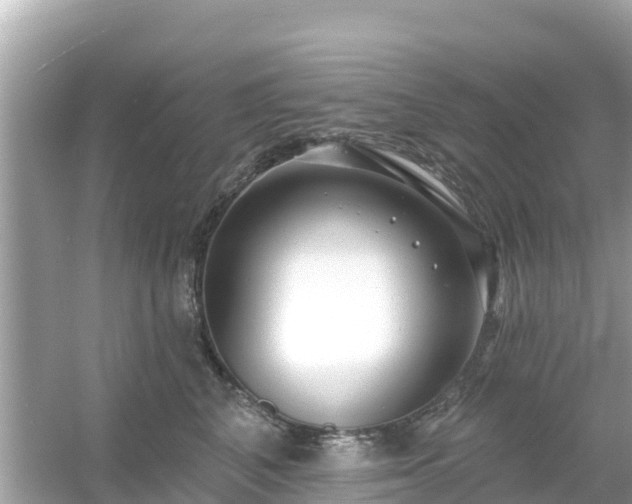 X0000054440616200508051900