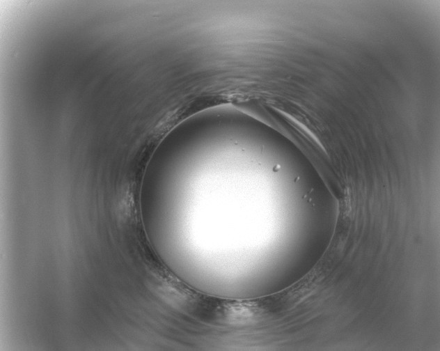 X0000054440618200508051900