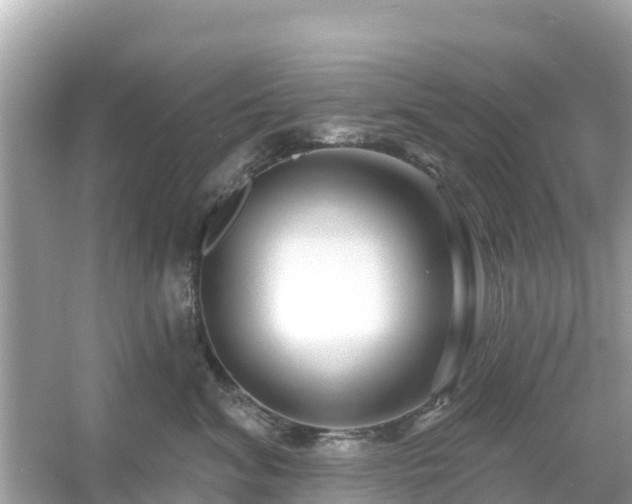 X0000054440620200508051900