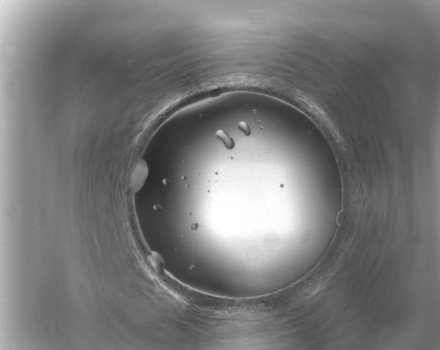 X0000054440625200508051859