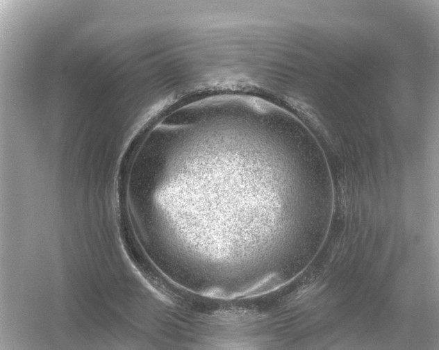 X0000054440630200508051859