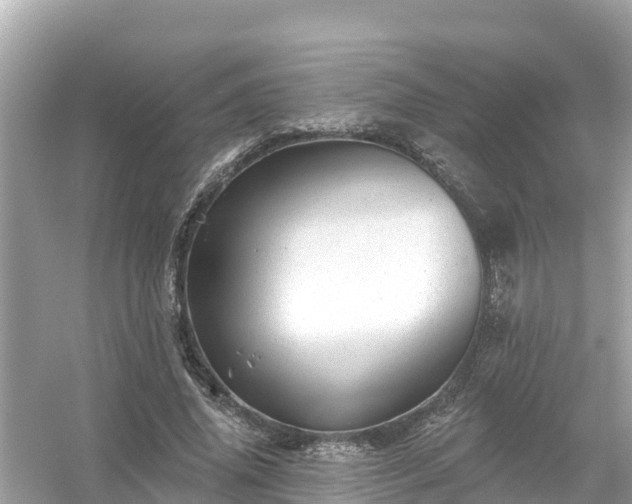 X0000054440636200508051900