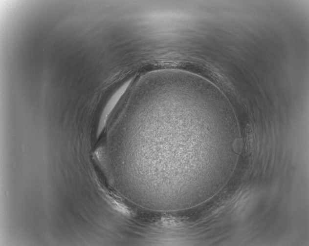 X0000054440641200508051900