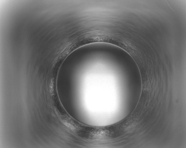 X0000054440646200508051900