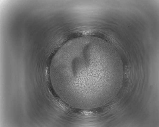 X0000054440650200508051900