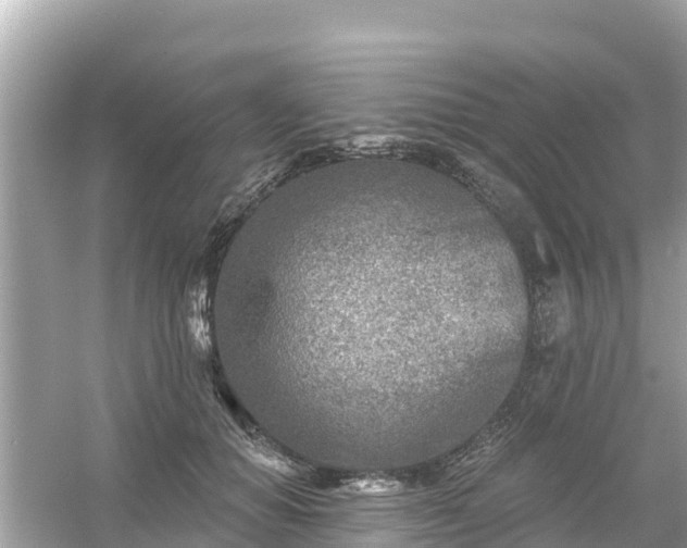 X0000054440654200508051900