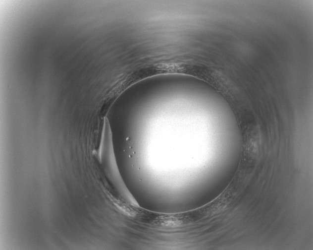 X0000054440658200508051900