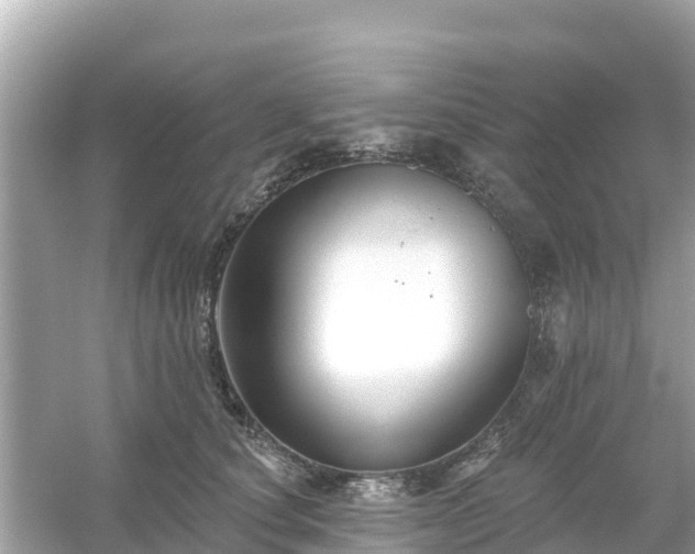 X0000054440660200508051900