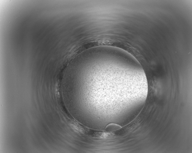 X0000054440663200508051900