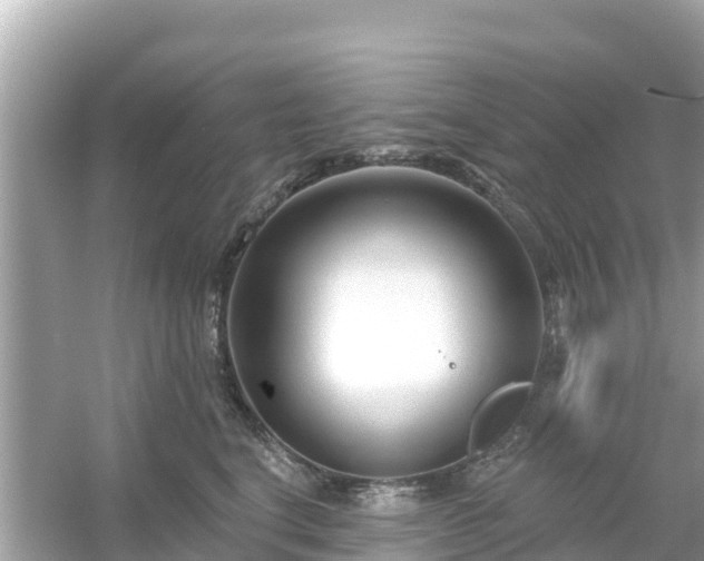 X0000054440664200508051900