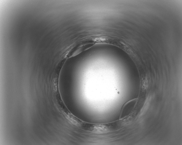 X0000054440666200508051900