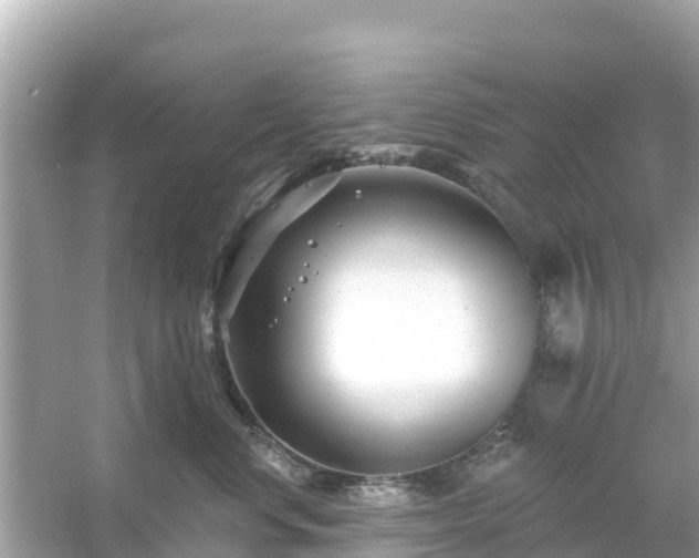 X0000054440668200508051900