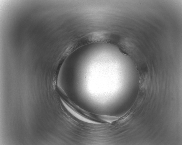 X0000054440669200508051900