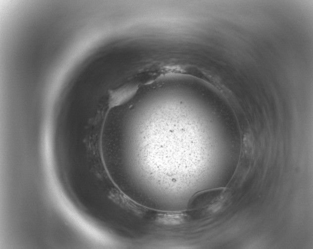 X0000054440671200508051900